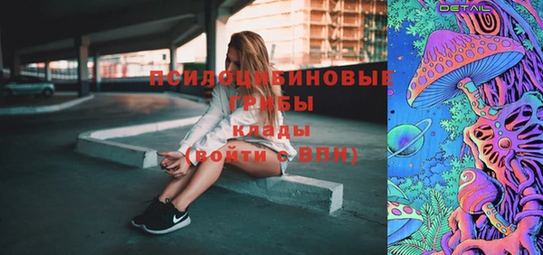 спиды Заводоуковск