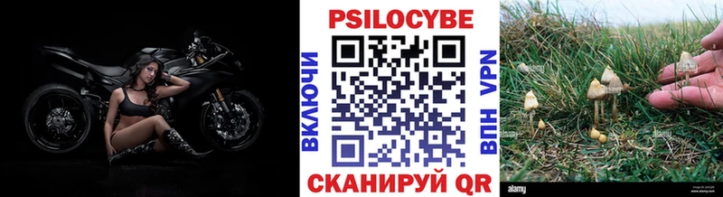 Галлюциногенные грибы MAGIC MUSHROOMS купить цена Солнечногорск
