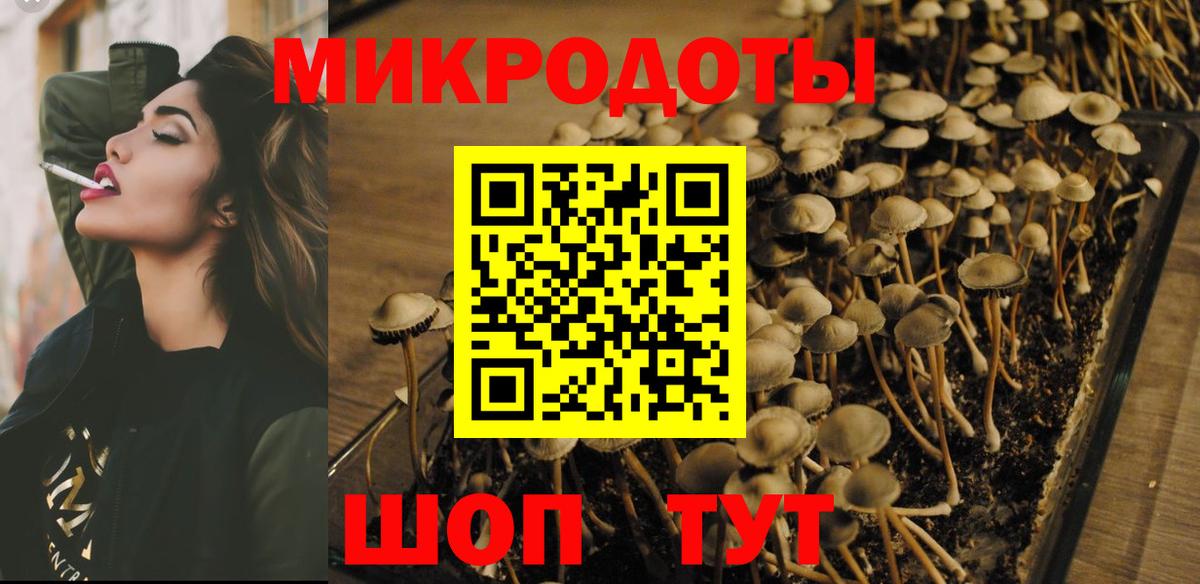 Галлюциногенные грибы Magic Shrooms Солнечногорск