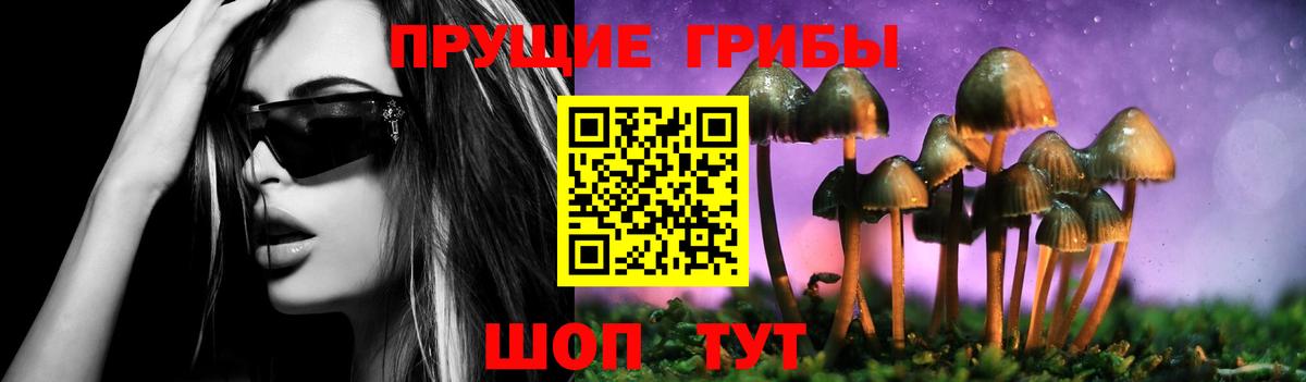 Галлюциногенные грибы MAGIC MUSHROOMS  Псилоцибиновые грибы мицелий  Солнечногорск 