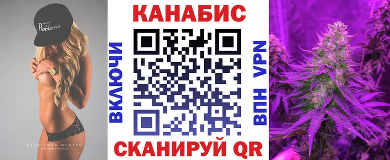 Бошки Шишки план  Солнечногорск 