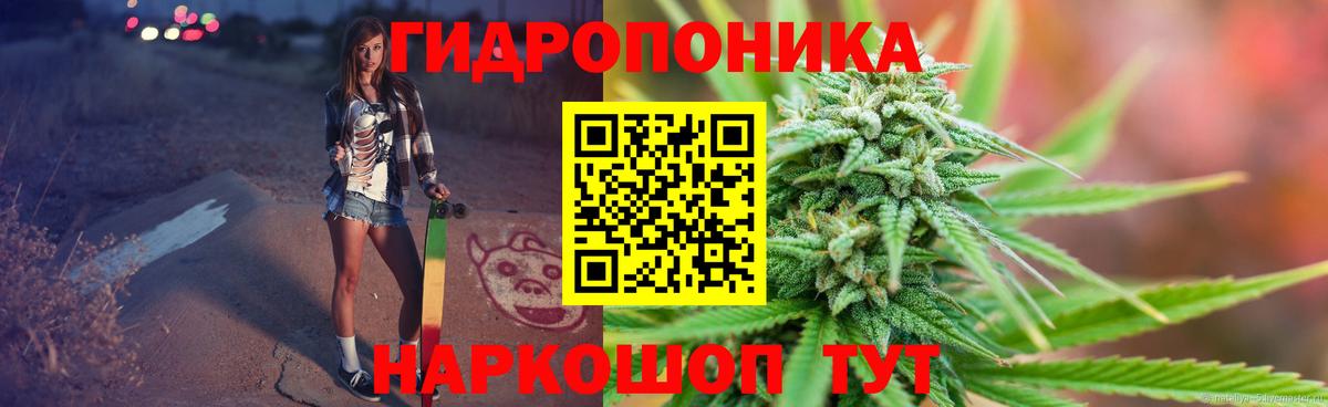 Солнечногорск  Конопля OG Kush  Бошки Шишки планчик  МАРИХУАНА семена  Вход с VPN  Бошки марихуана Amnesia 